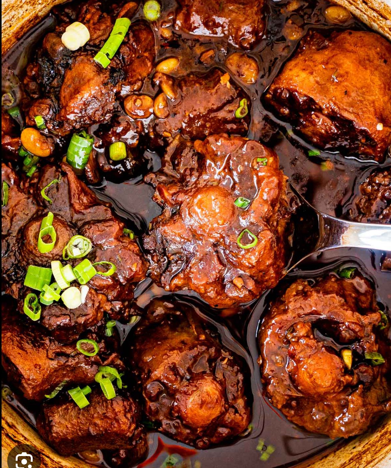 Rich Caribbean stew with scallions